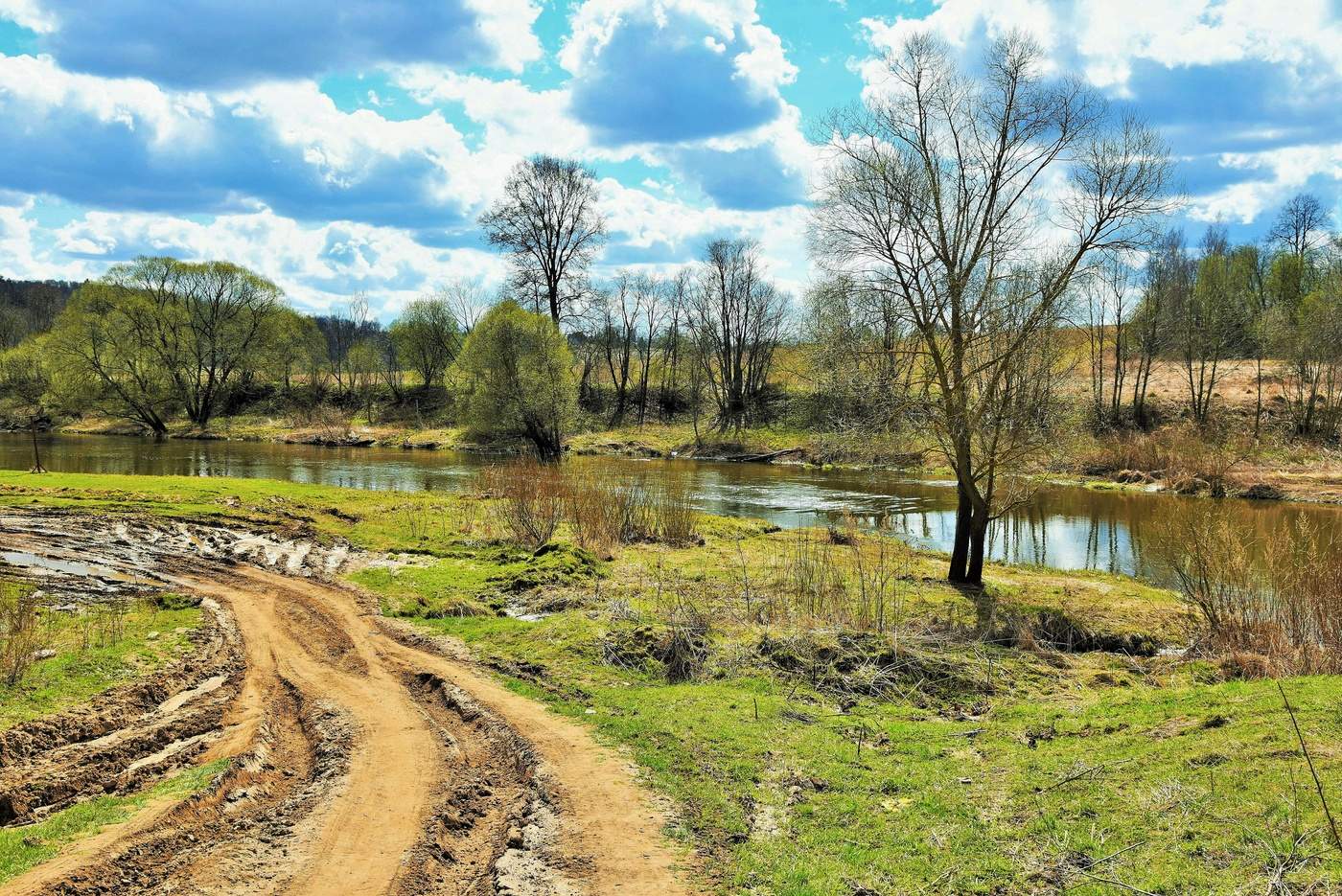 "Что-то от русской неприбранной жизни"