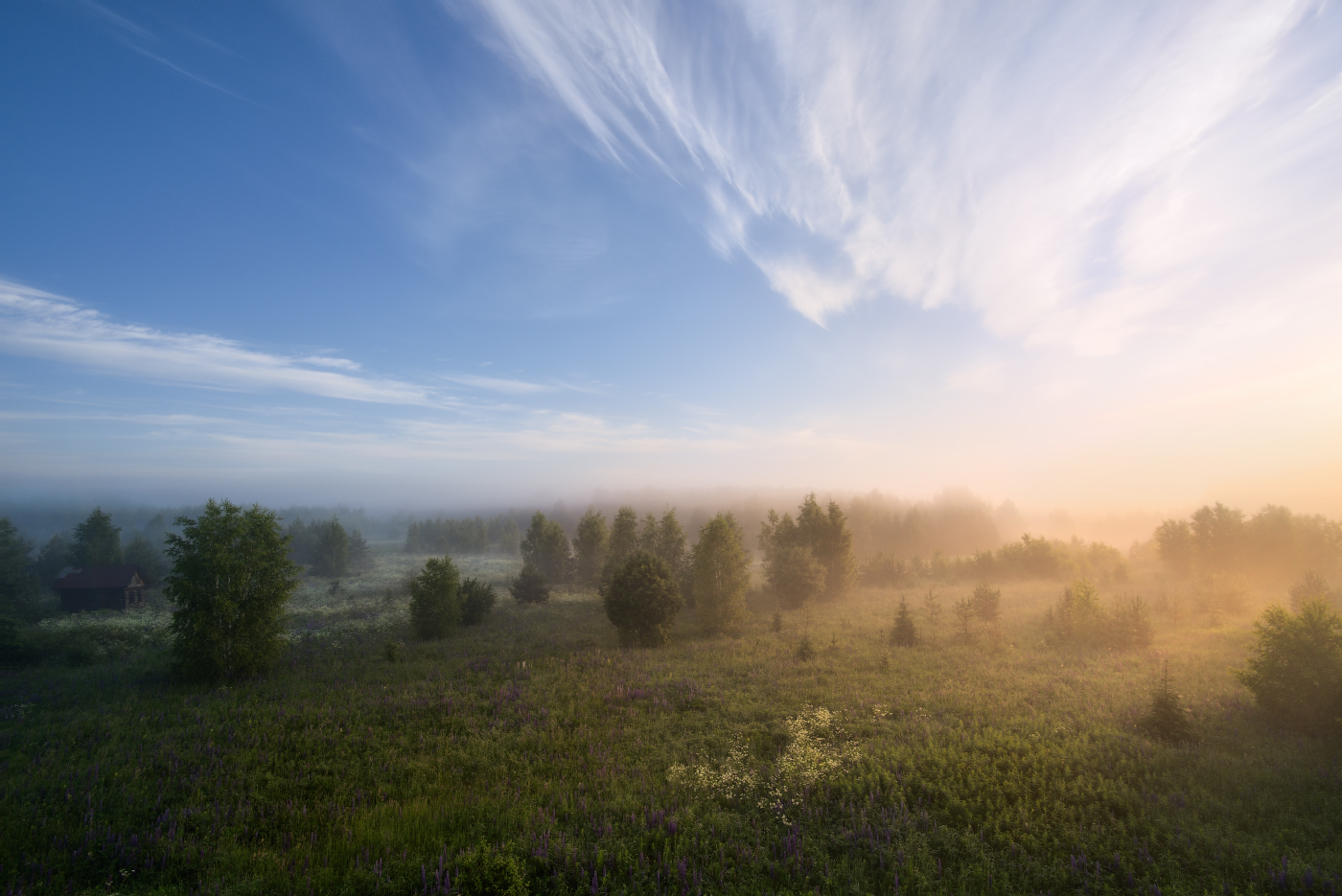 туманное утро