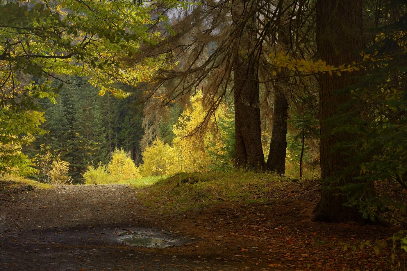 Об осени в горах