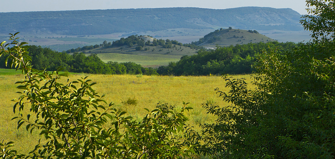 Природа - мать наша.