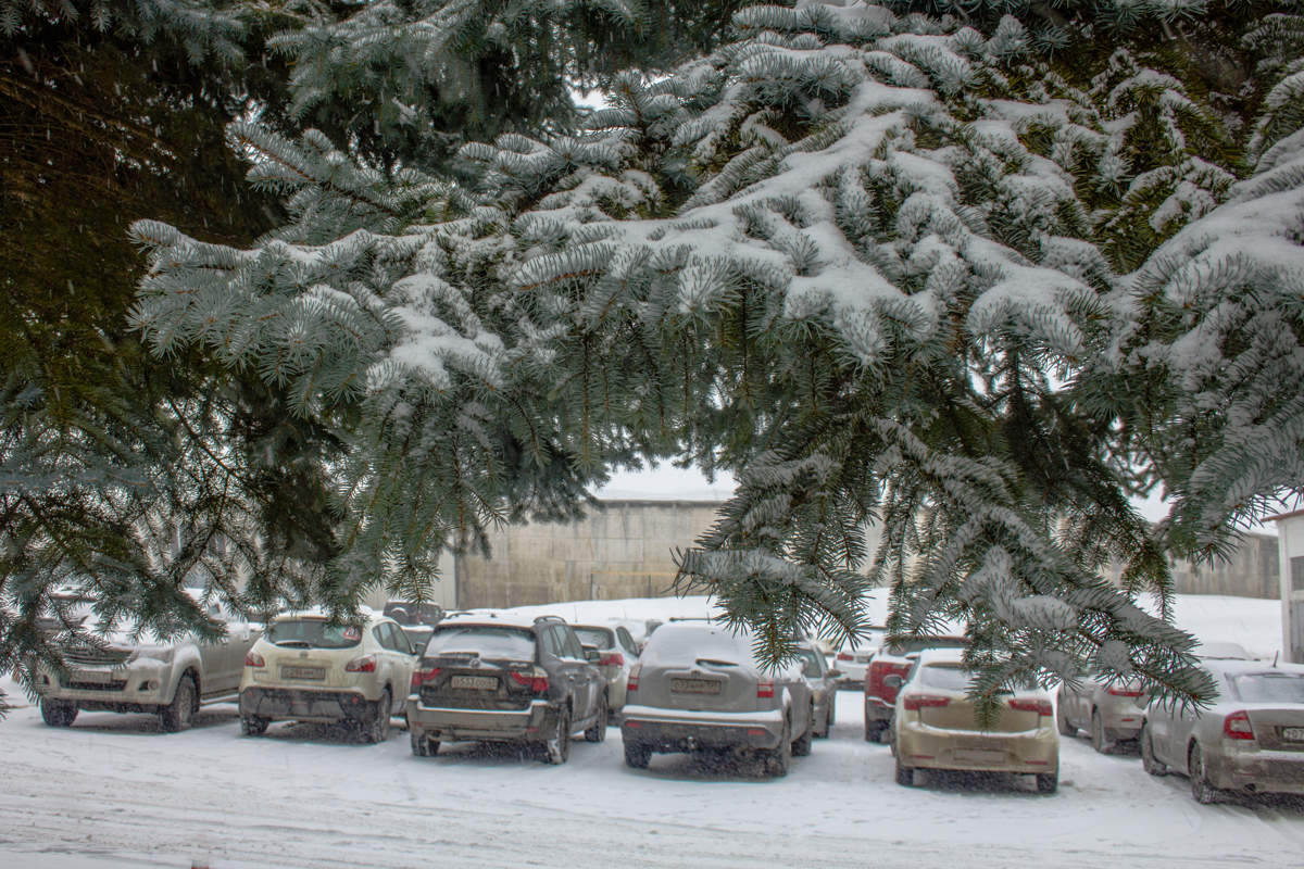 Парковочка