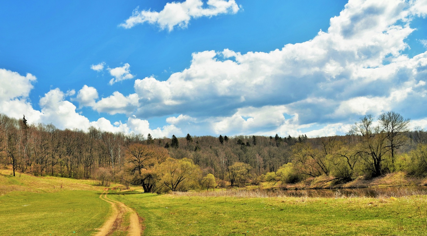 Плывут облака ...