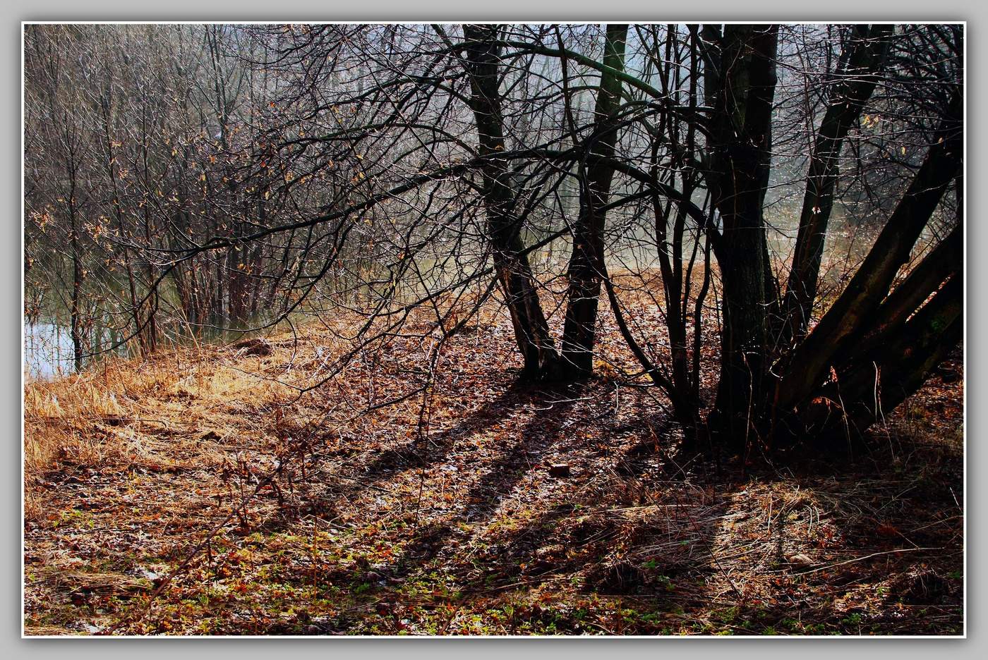 Ложился на леса туман