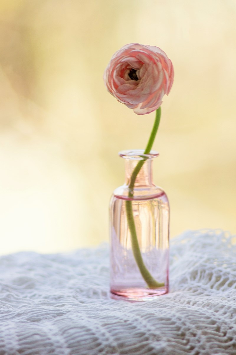 нежное утро