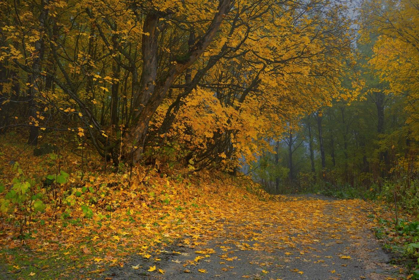 Осень в горах