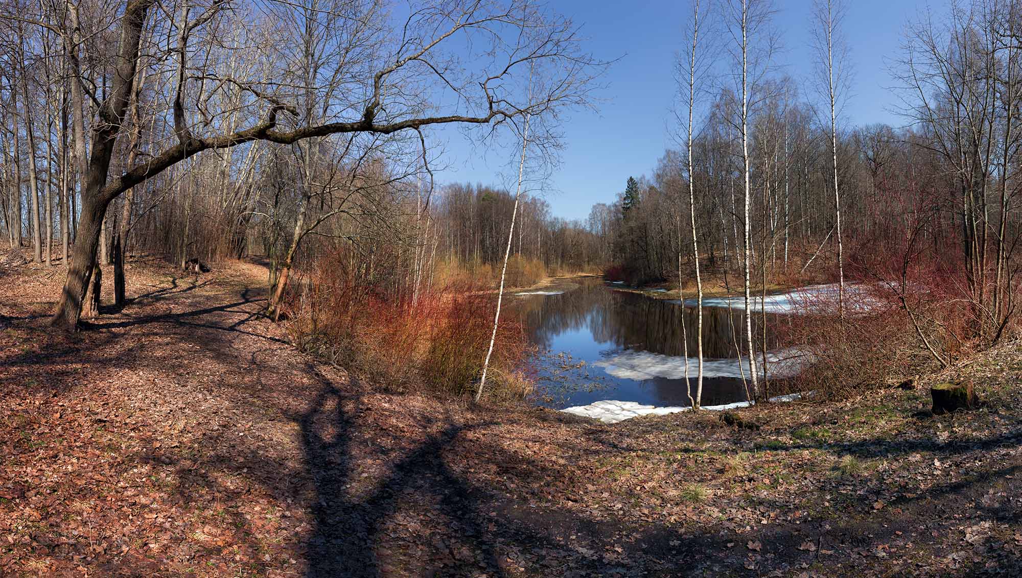 Тени исчезают в полдень...