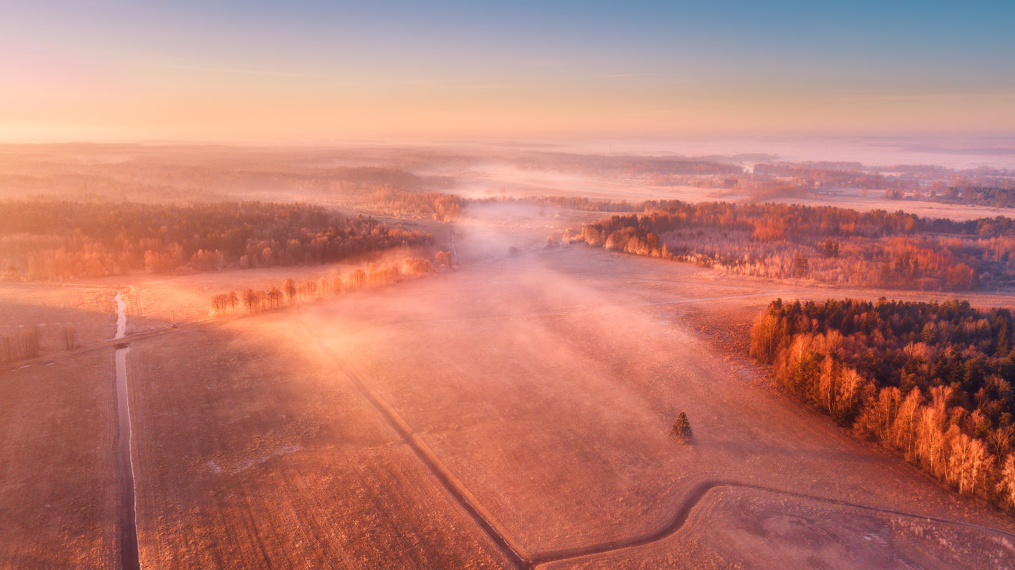 В Марте на Рассвете