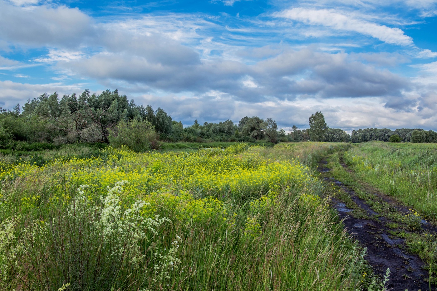 после грозы
