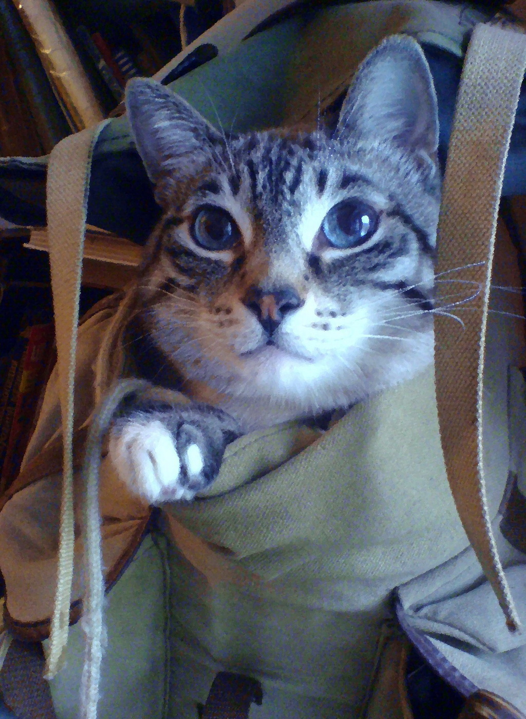 Пора в путь-дорогу!