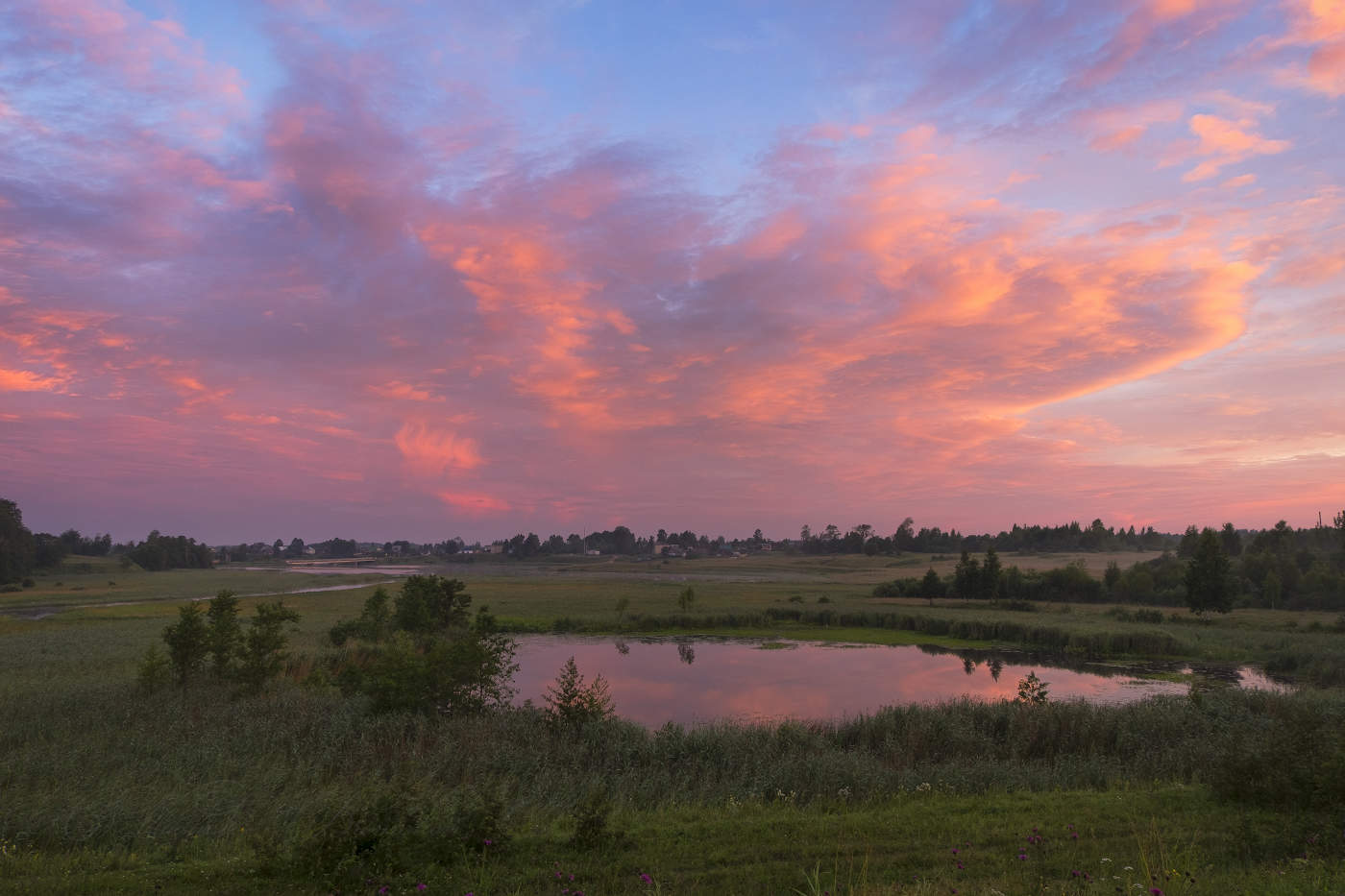 Под ярким небом