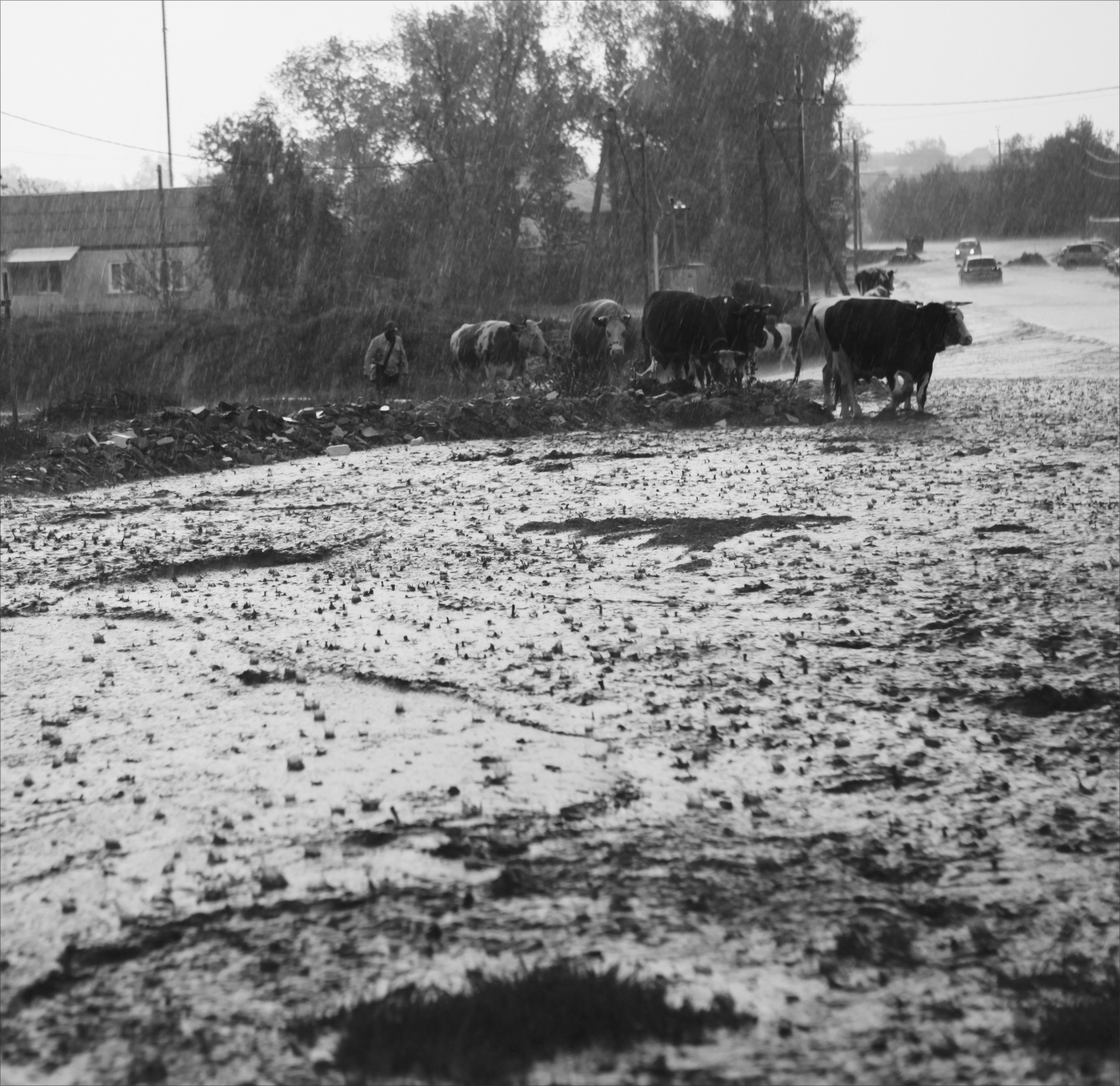 Вода, вода, кругом вода