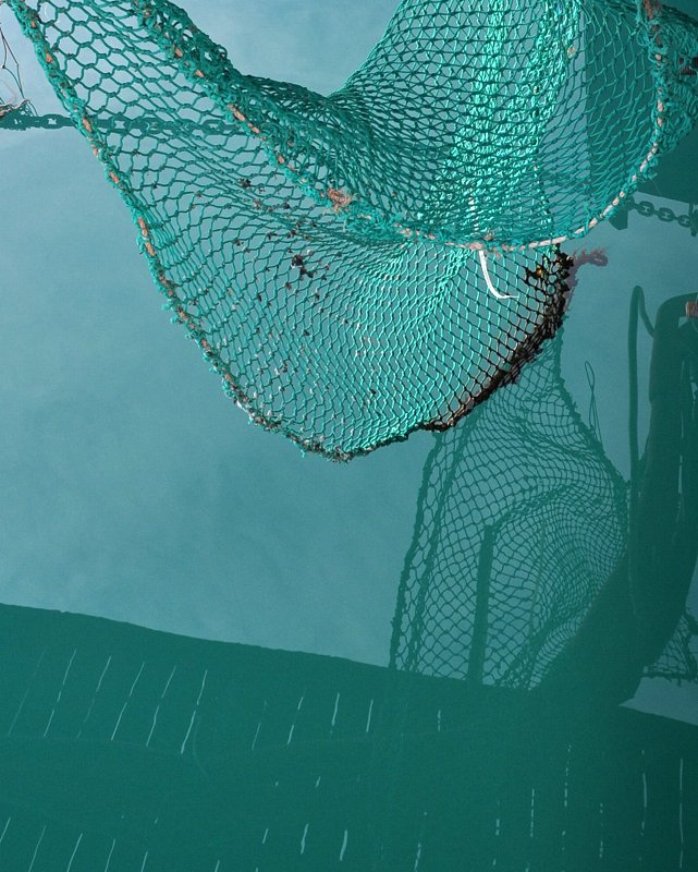 Вода, вода, кругом вода