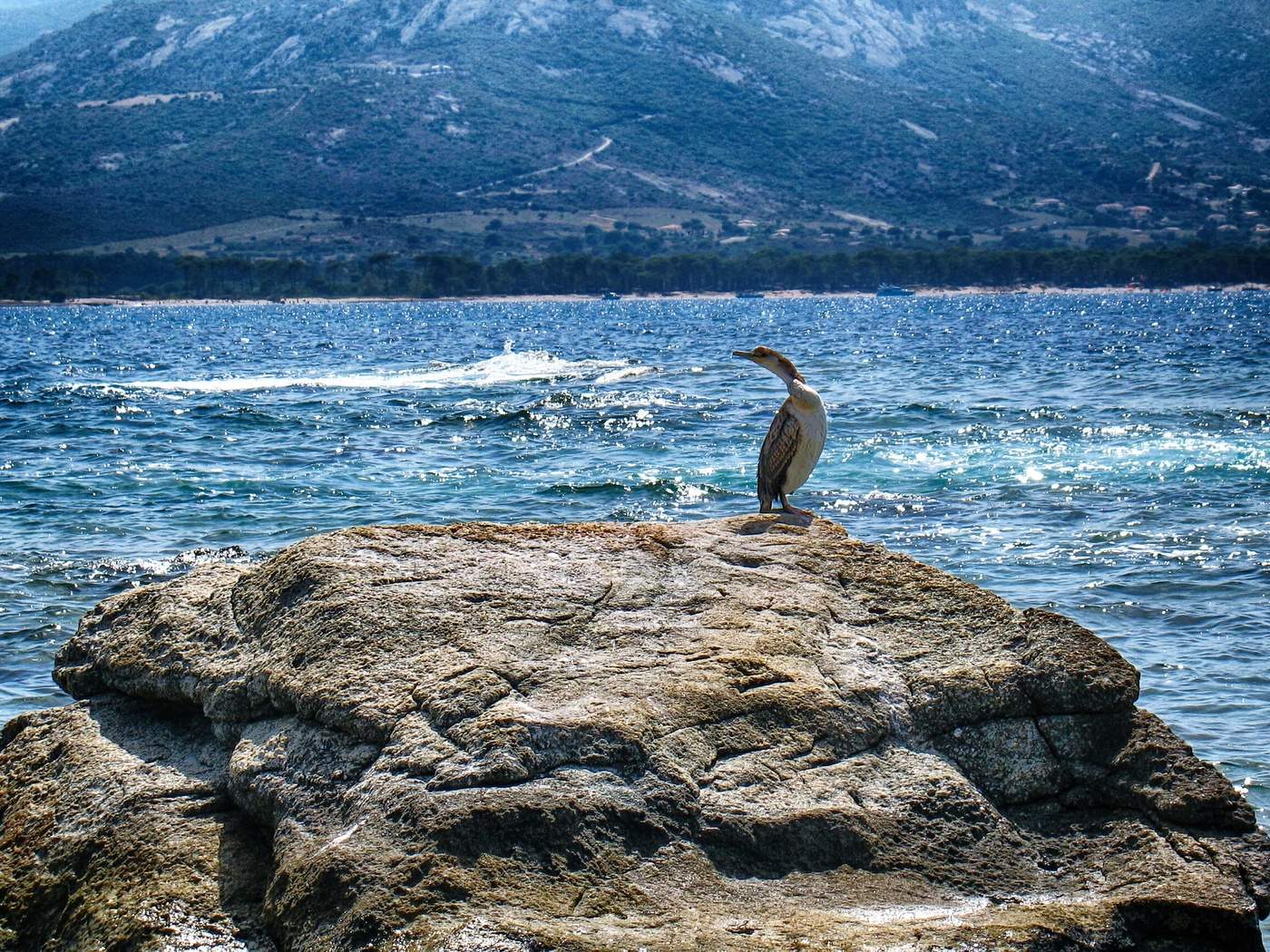 "Вода, вода, кругом вода"