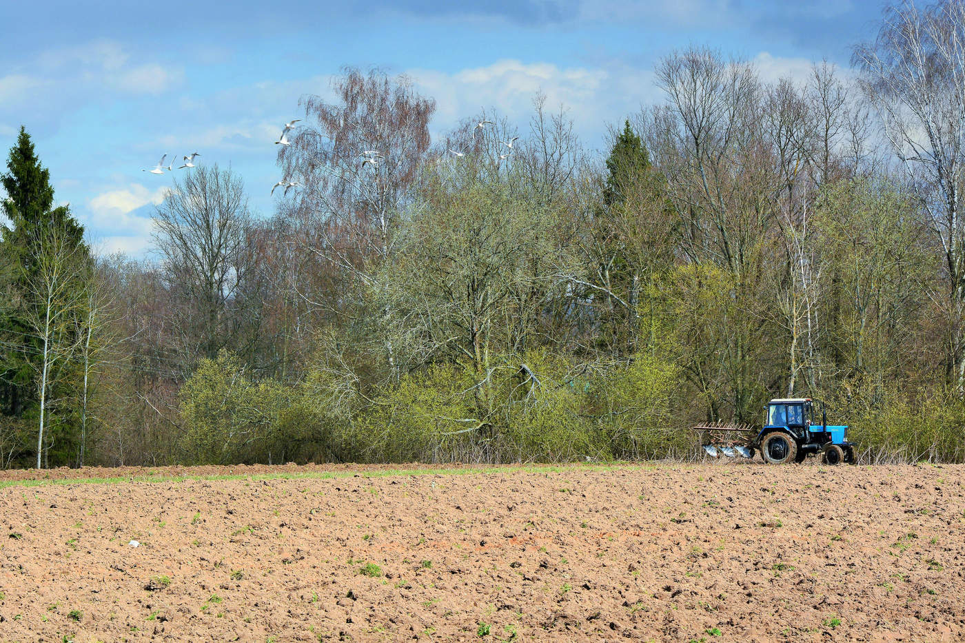 Время пахать ...