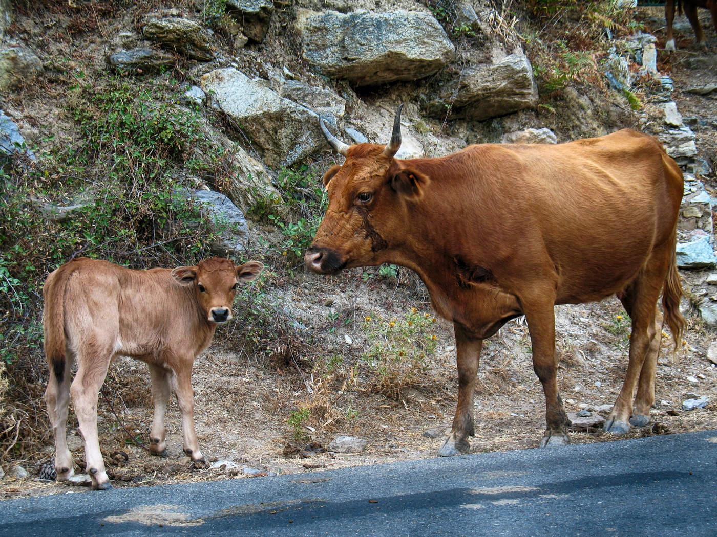 Домик в деревне.