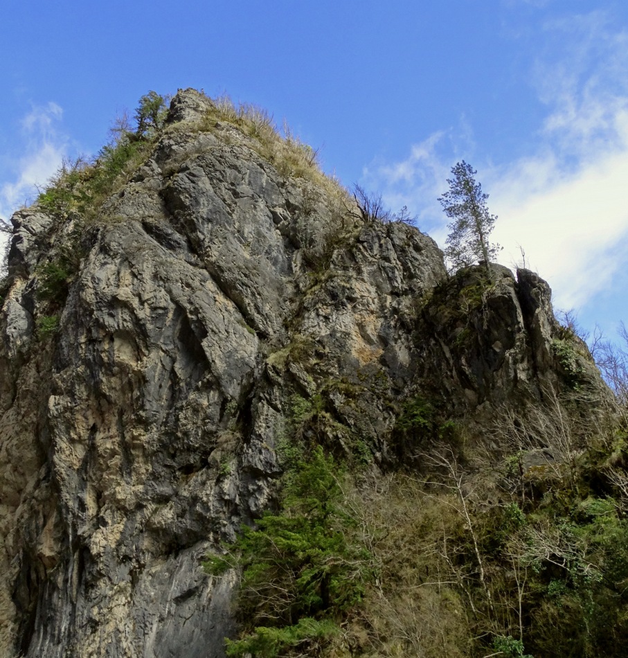 На всех ветрах