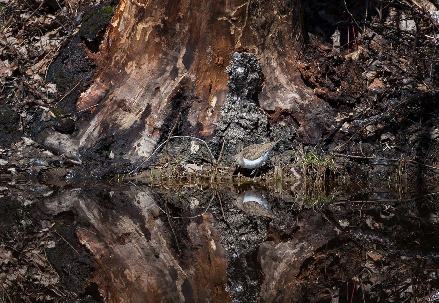 Гляжусь в тебя как в зеркало...