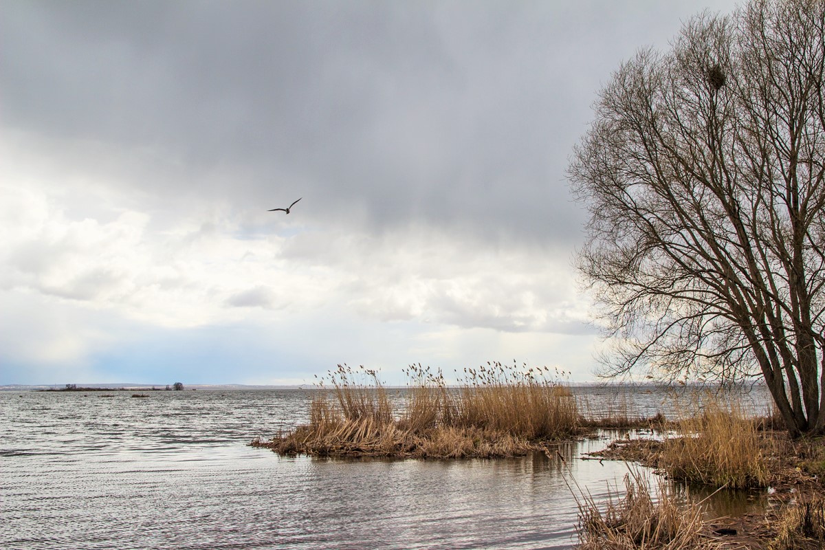 Апрель на озере Неро