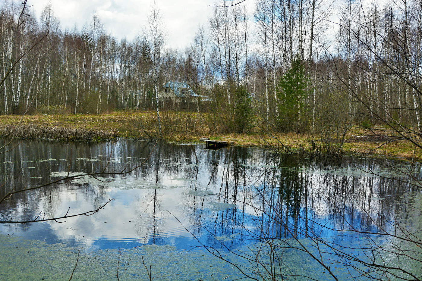 "На недельку, до второго, я уеду в Комарово..."