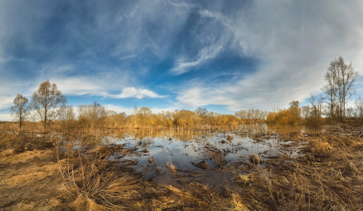 Весеннее приупье