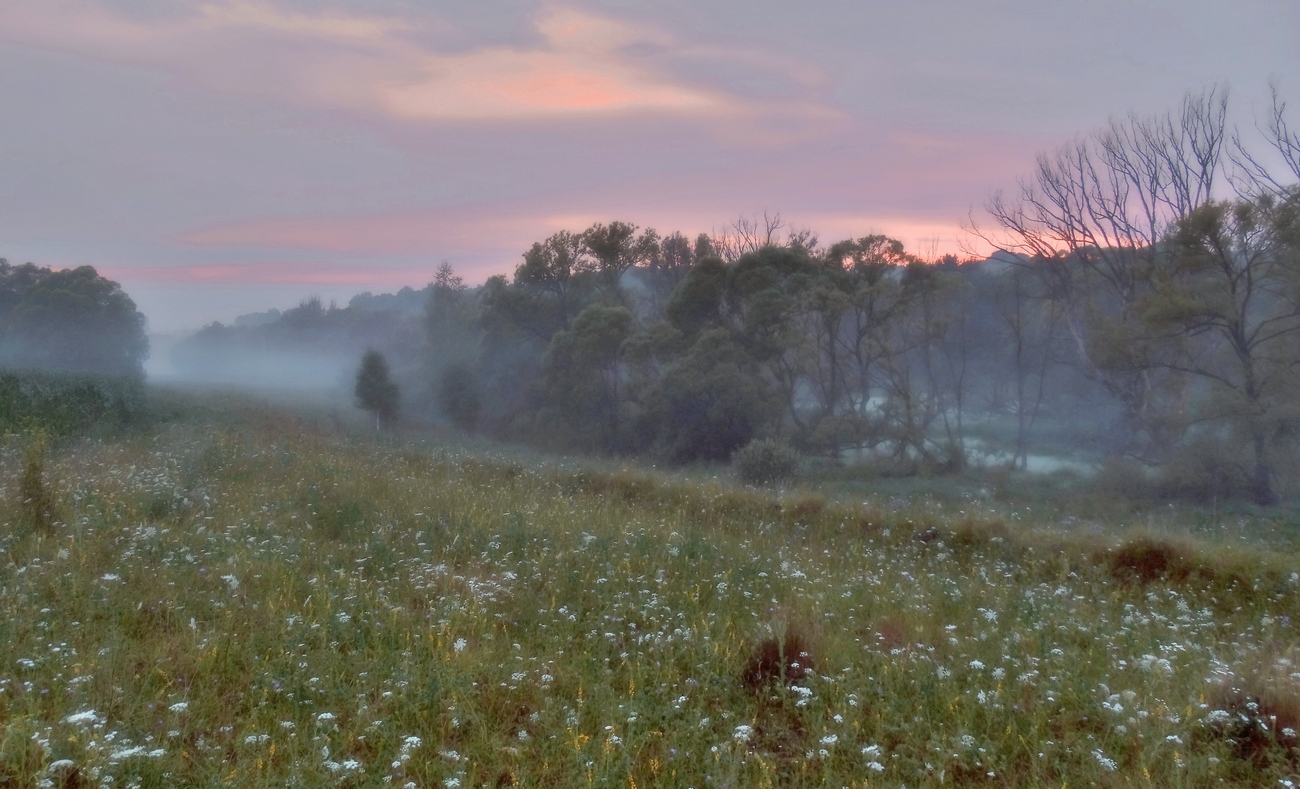 Утро туманное