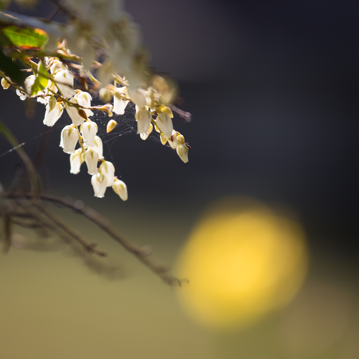 Нечто японское....