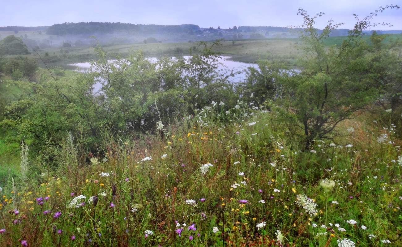 Утренние просторы затуманило