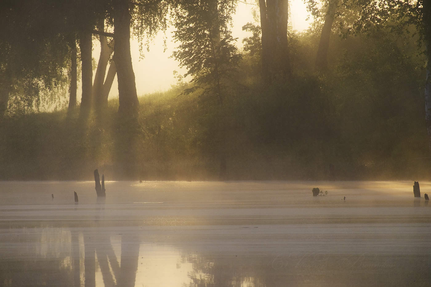 Призрачно всё