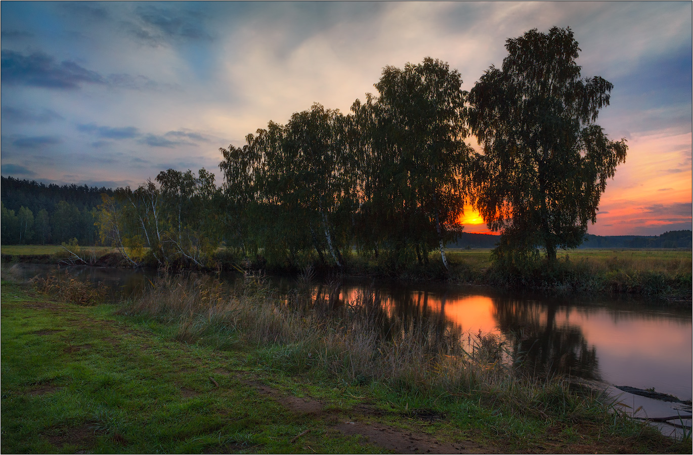 Когда деревья были большими