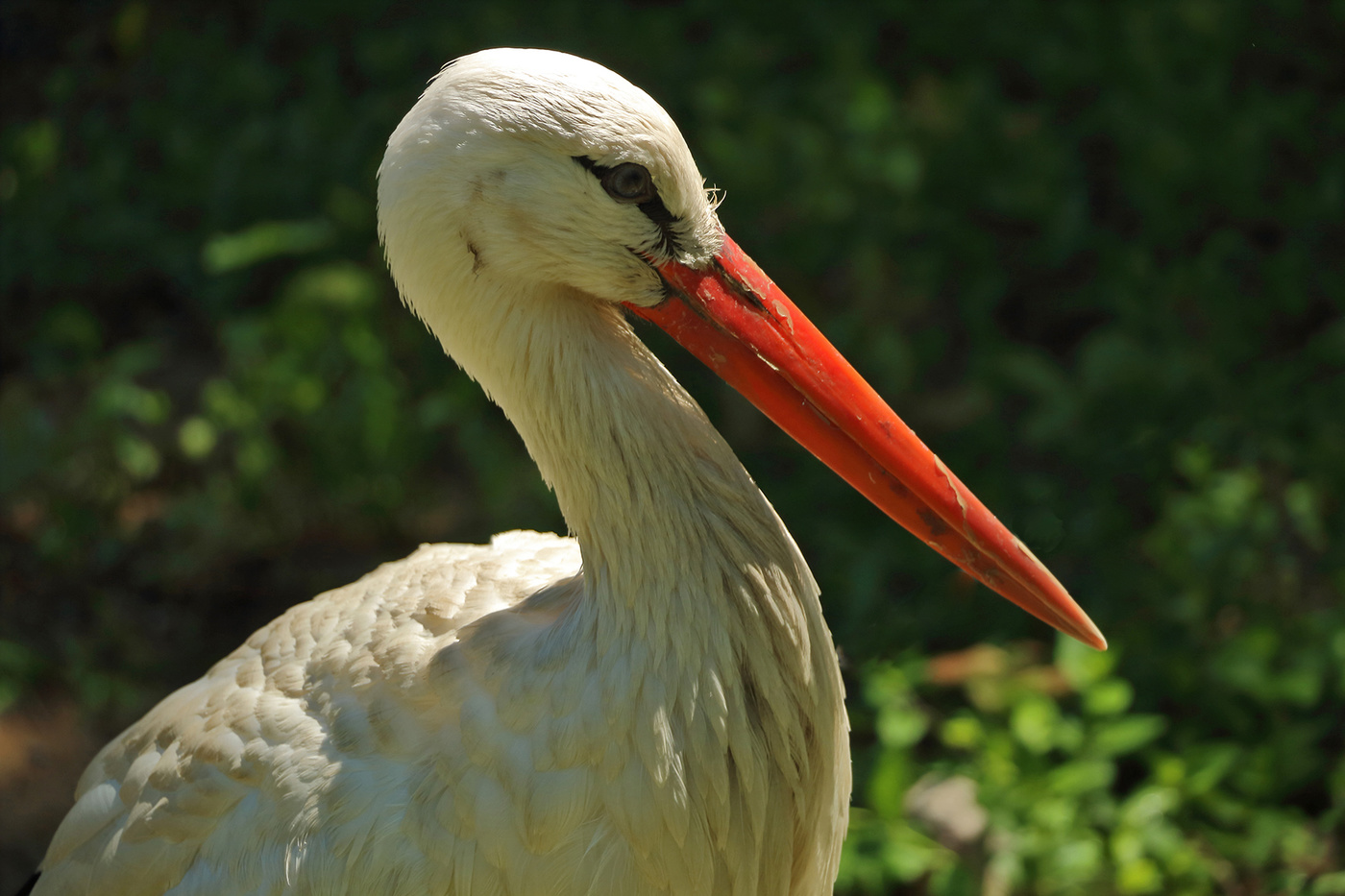 У меня тайм-аут...