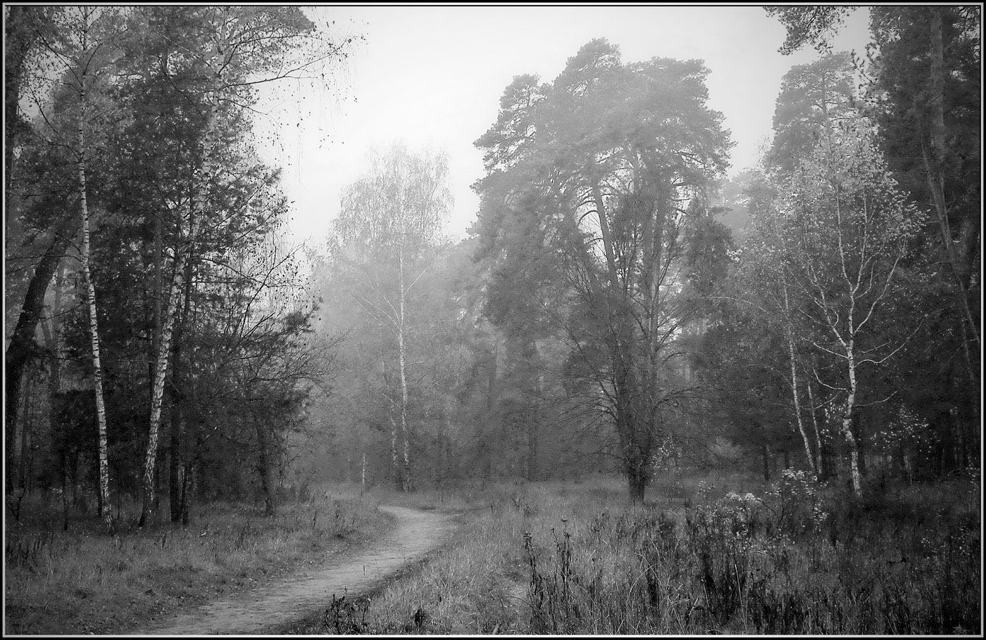 монохромное настроение