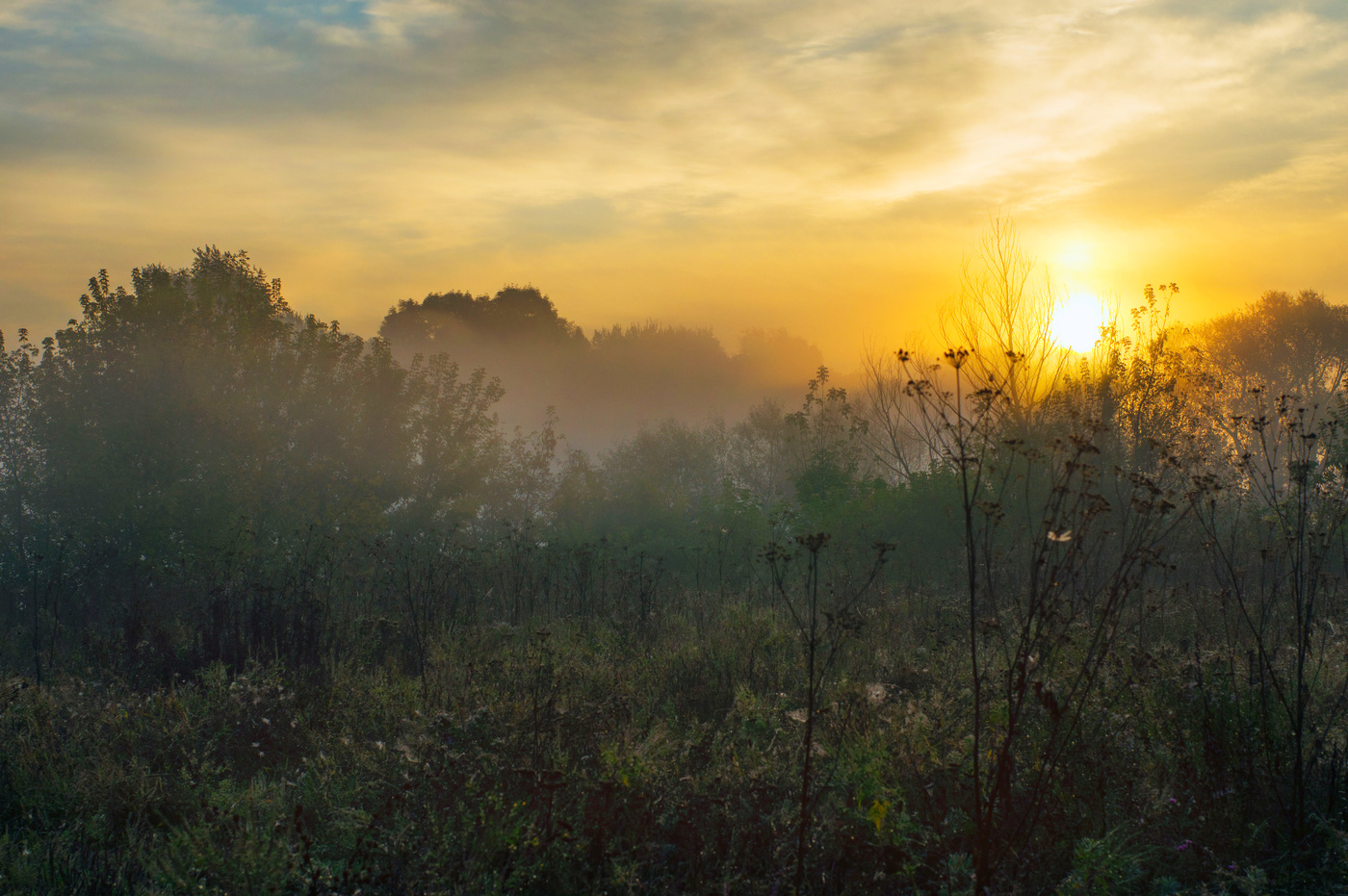 рождение нового дня