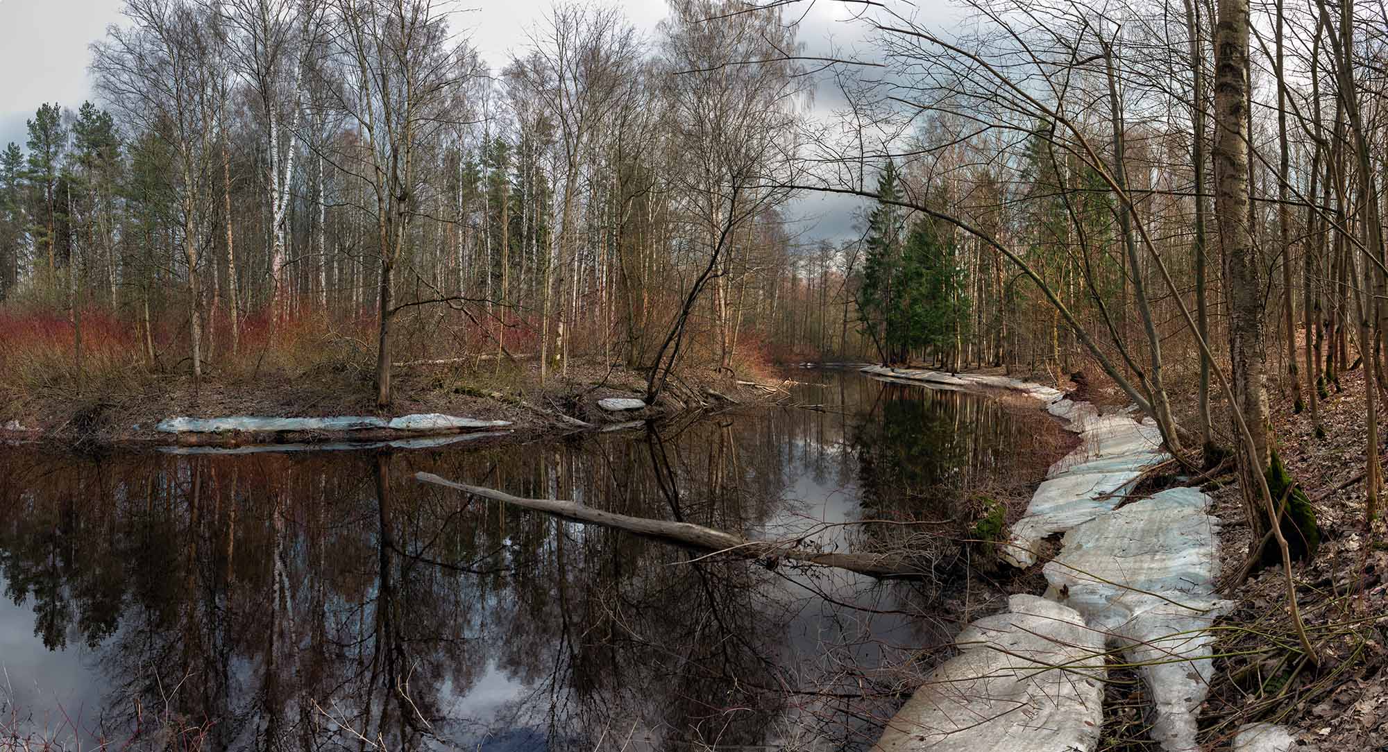 Речка в лесу...
