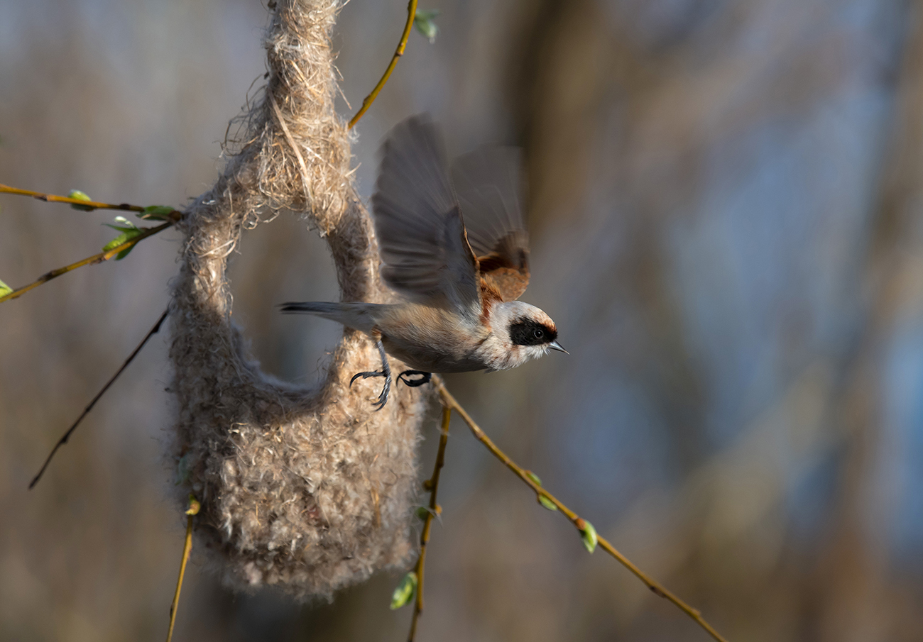 За стройматериалом...