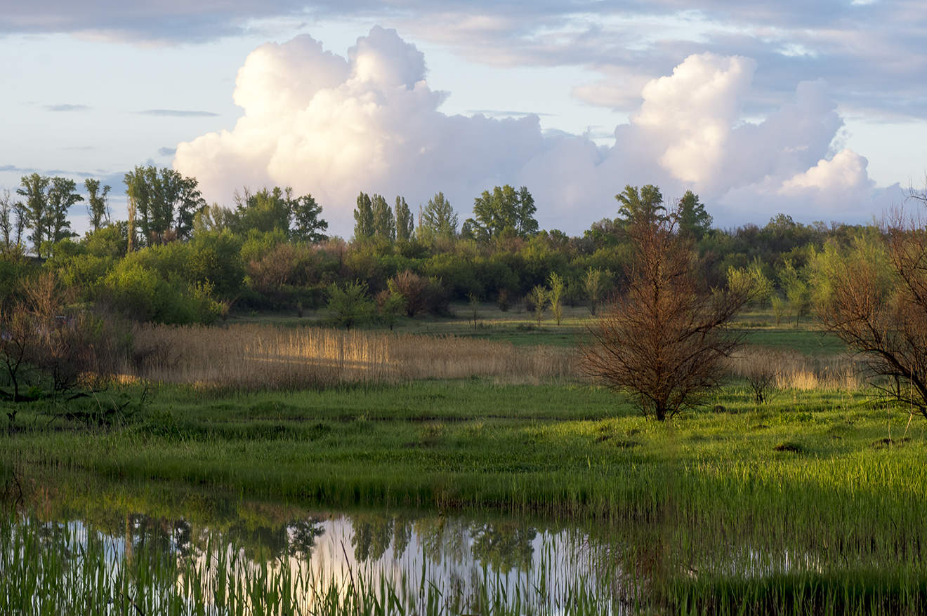 весенний день