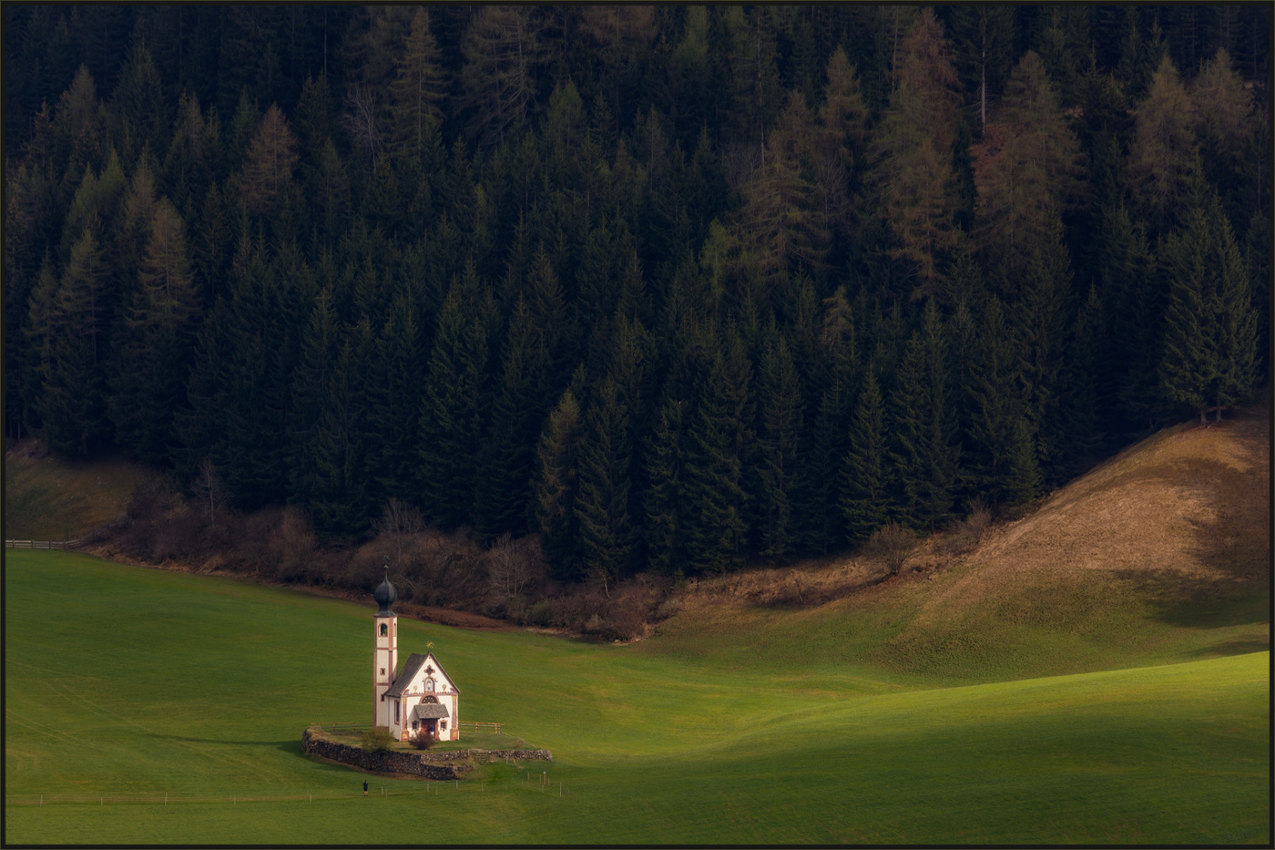 На поляне у опушки...