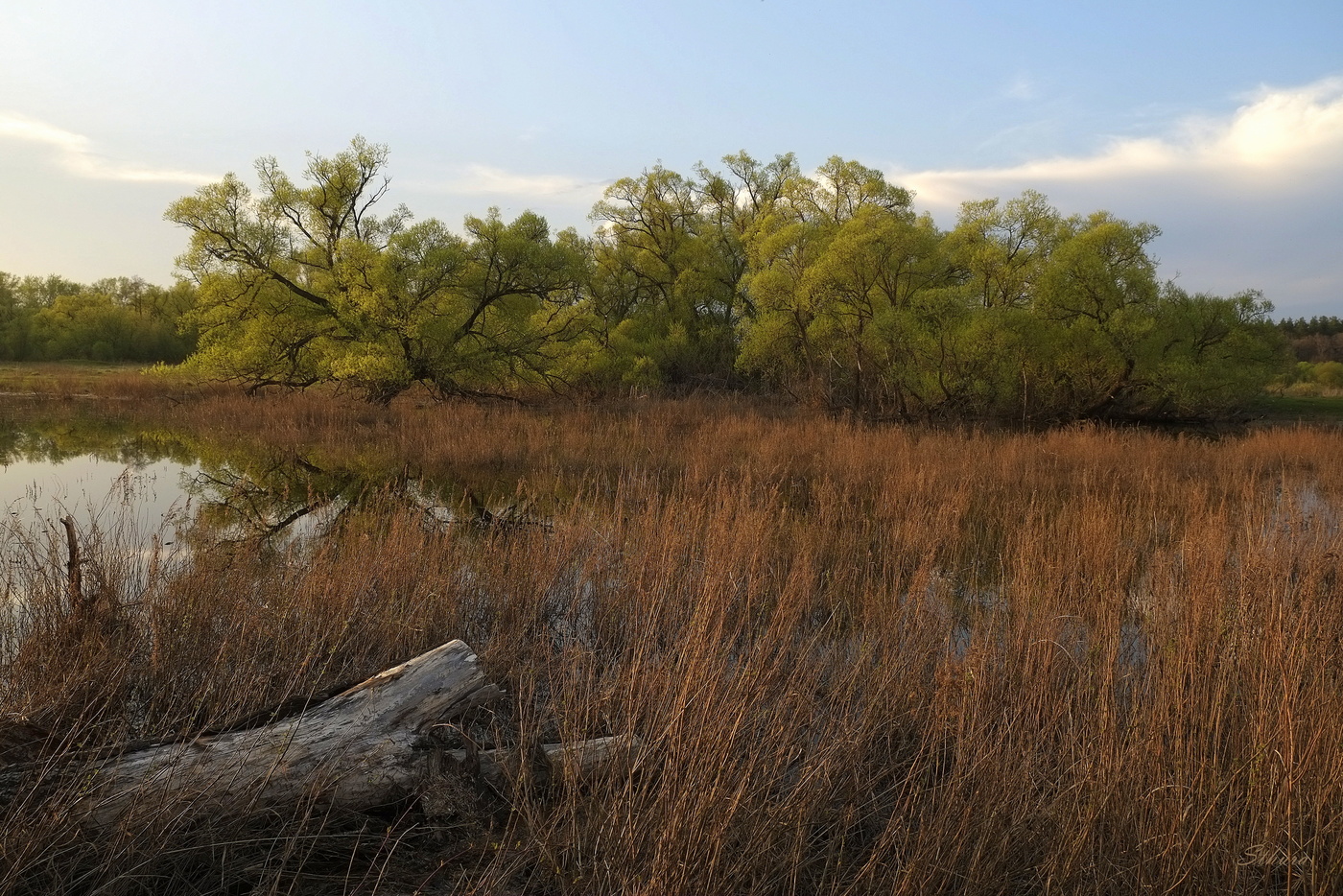 Весенний пейзаж.