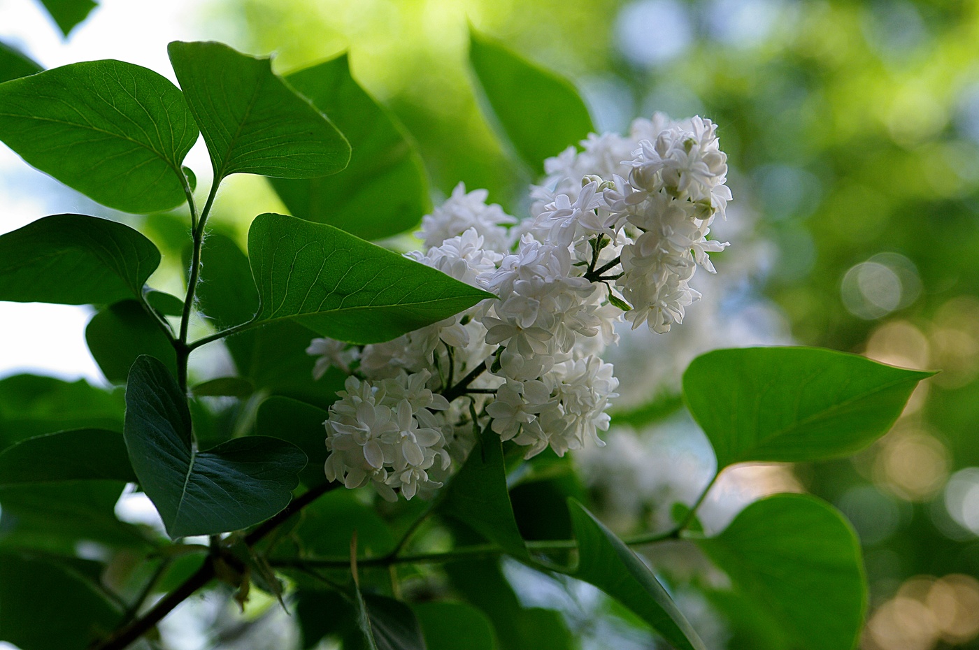 Уход от привычного стиля