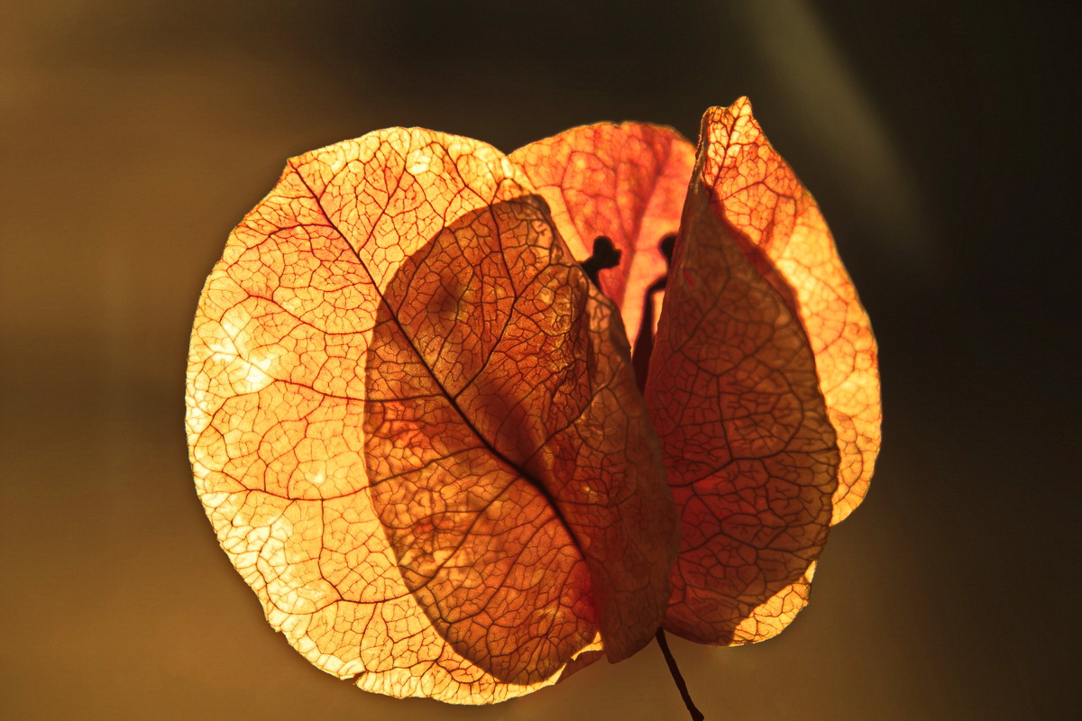 Уход от привычного стиля