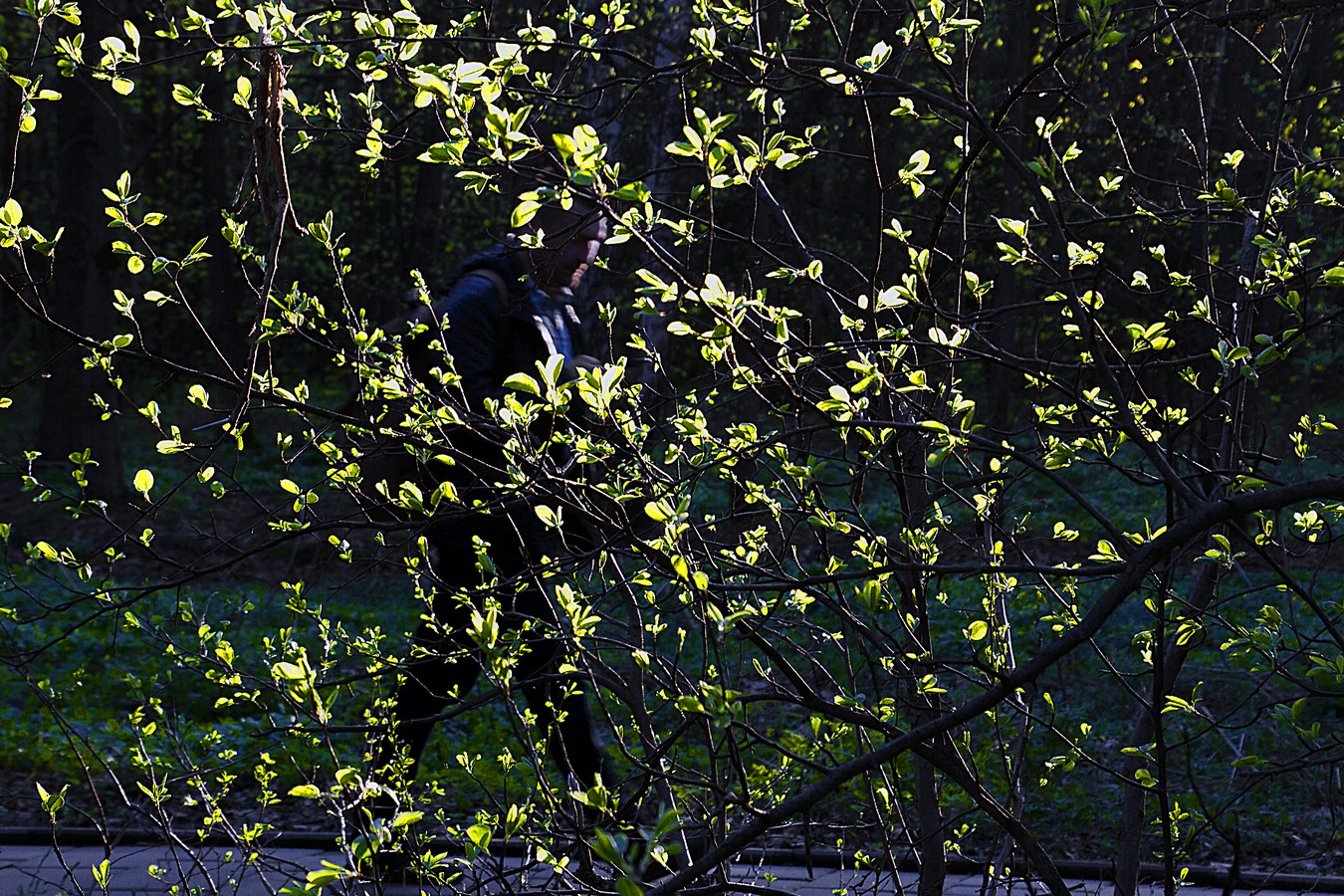 Уход от привычного стиля