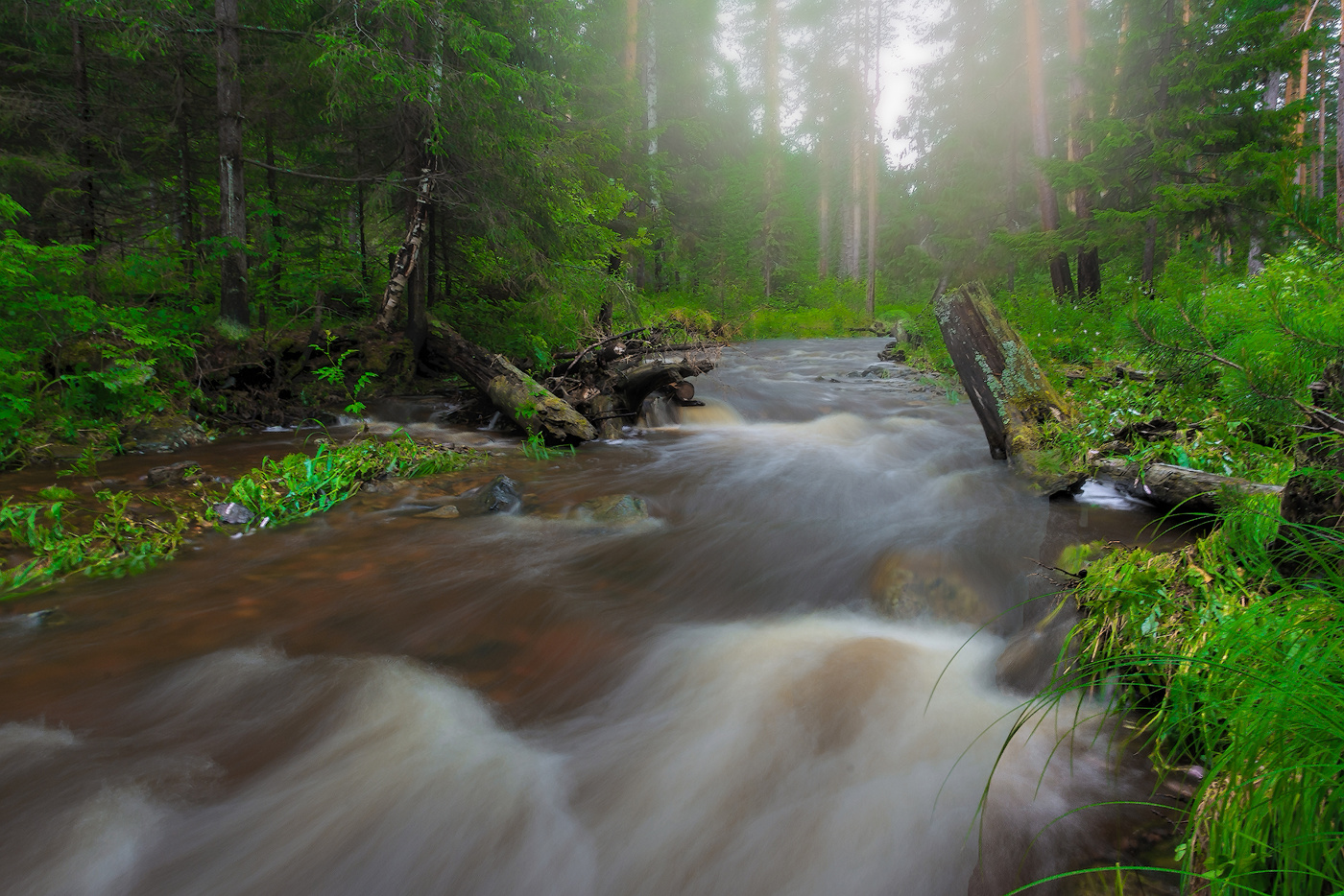 Бурный поток