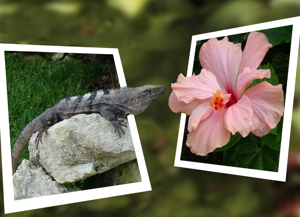 Уход от привычного стиля