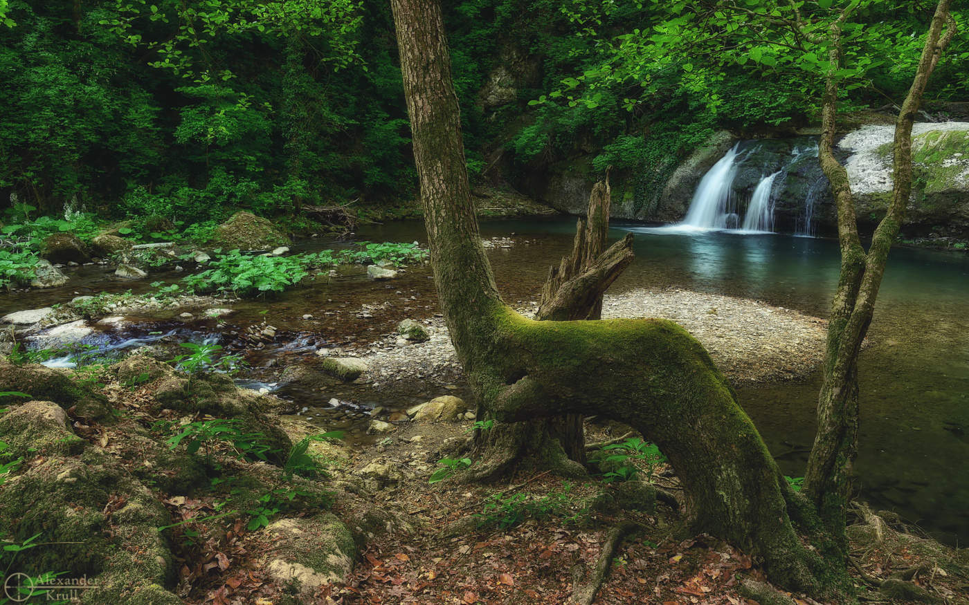 Вешние воды...