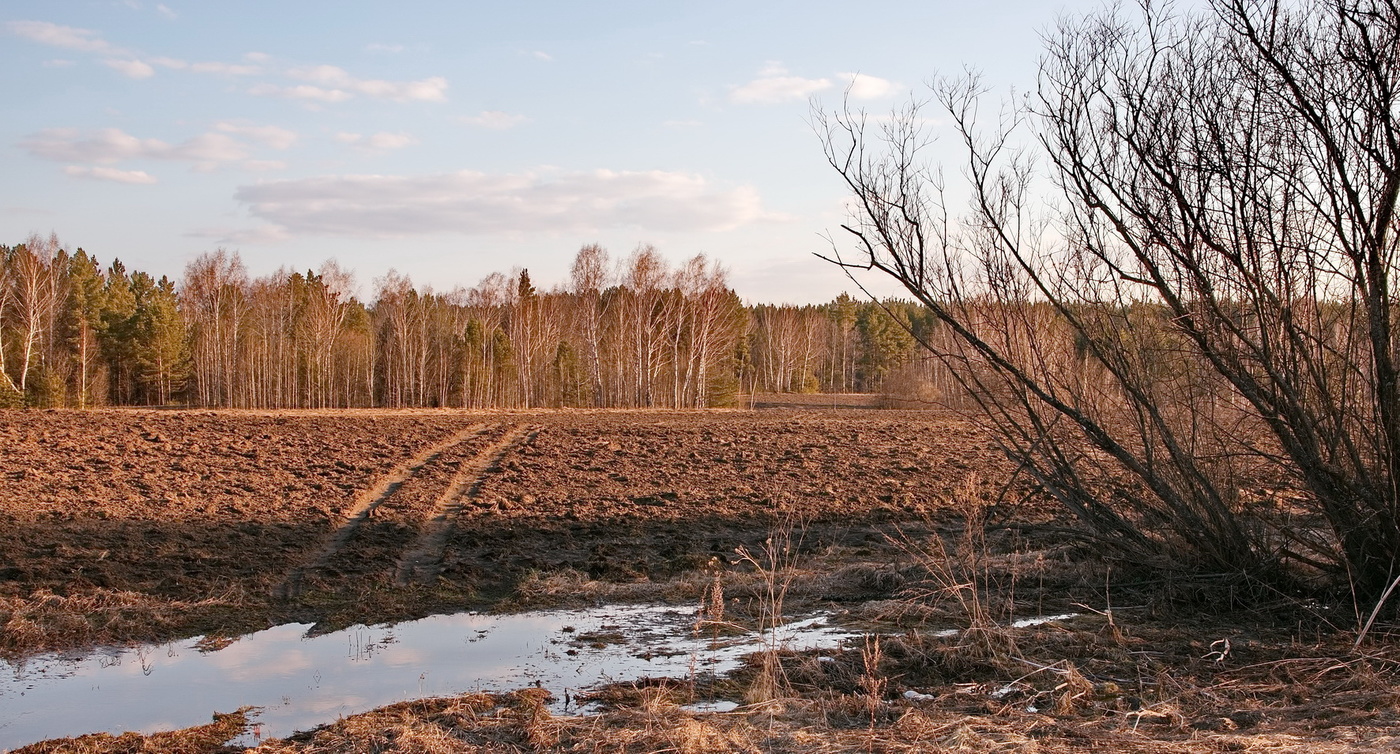 ВЕСЕННЕЕ ПОЛЕ