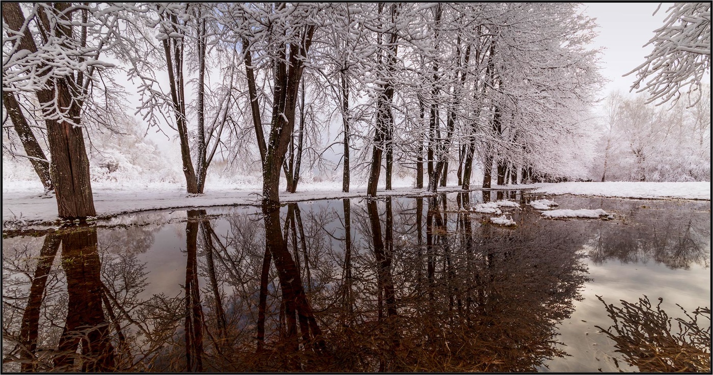 Без названия
