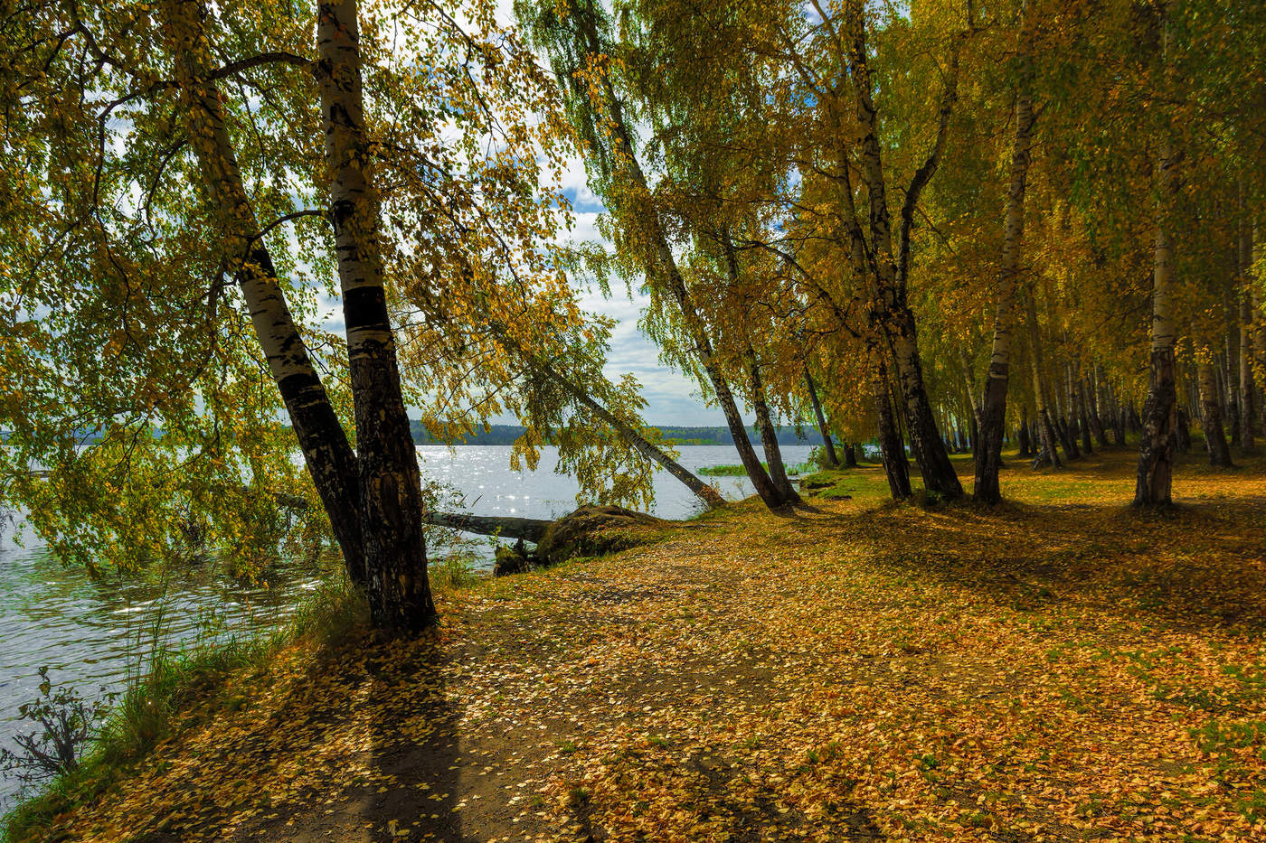 Роняет лес багряный свой убор