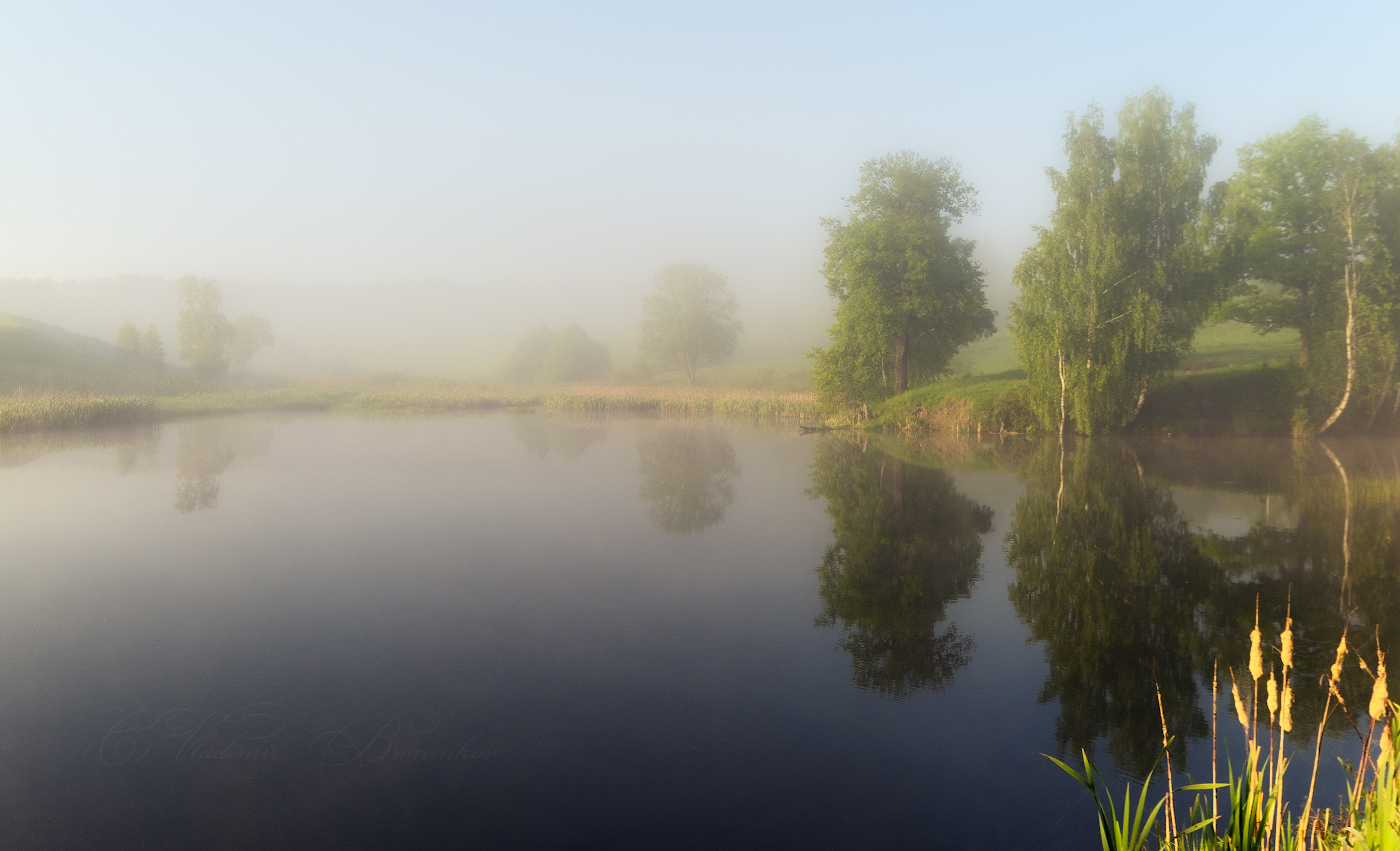 Освещённые солнцем...