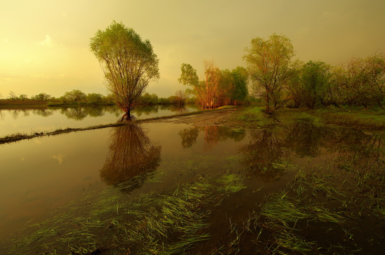 После грозы