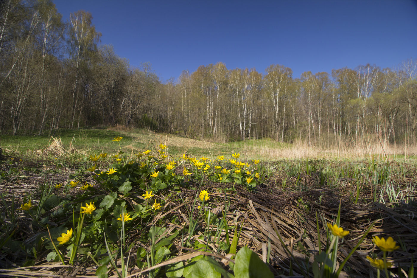 Пробуждение