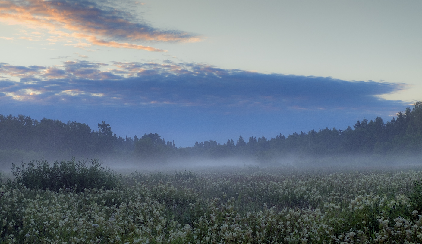 Сиреневый туман